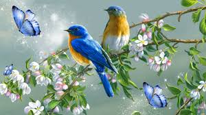 Niềm vui mùa xuân